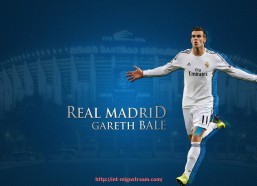 咪咕体育直播-世俱杯赞助商合同风险评估标准制定及应用