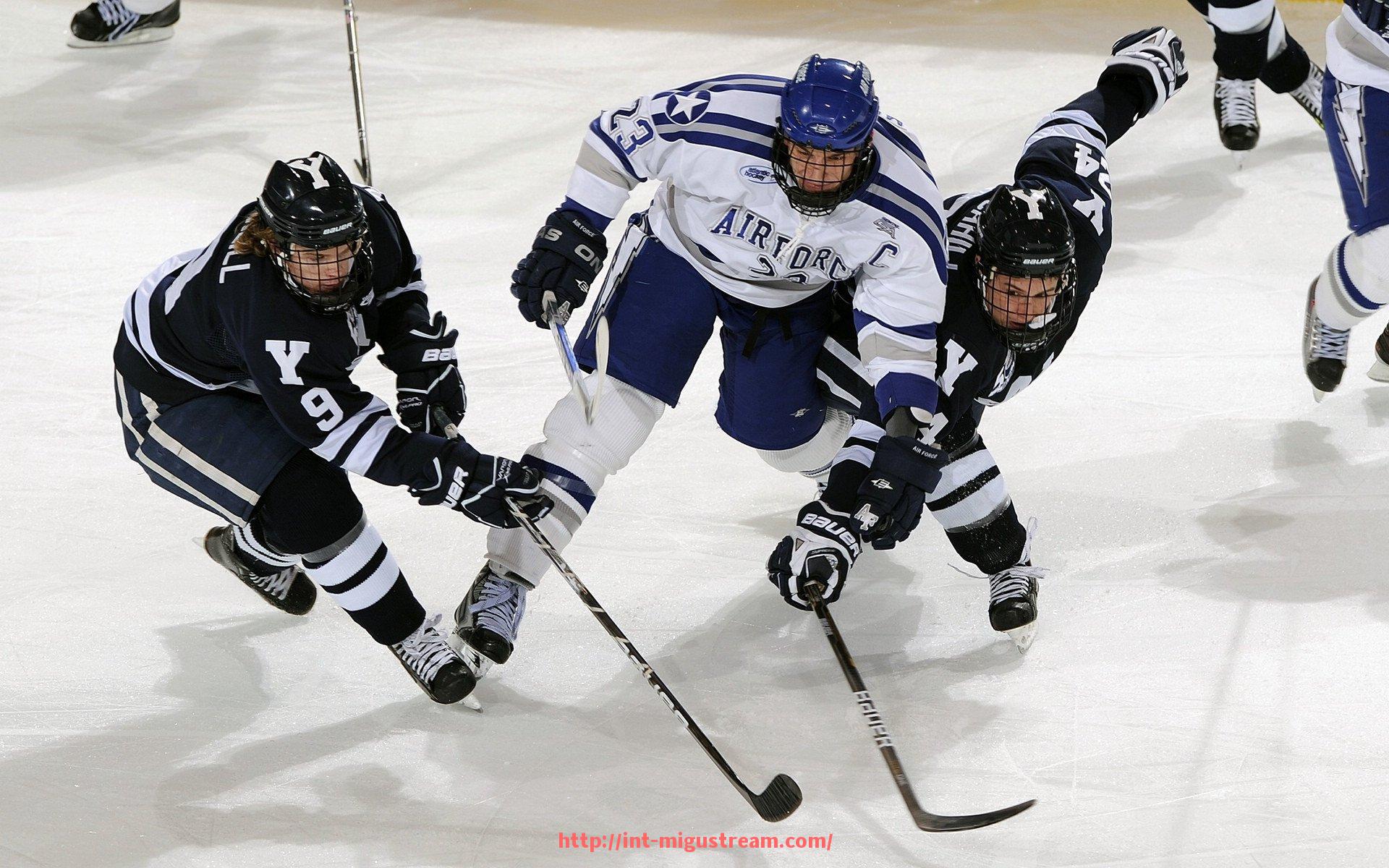 咪咕体育直播-勇士队对战火箭队现场直播地址合集